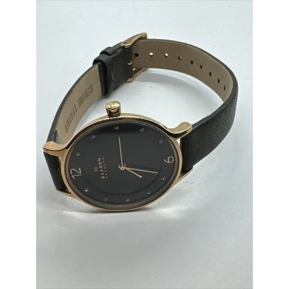 Skagen Anita Lille SKW2267 Women Charcoal Leather Analog Dial Wrist Watch JNA920